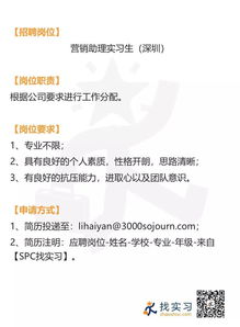 基金公司營(yíng)銷助理與品牌策劃 市場(chǎng)營(yíng)銷實(shí)習(xí)的雙重角色解析