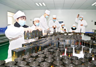 致力研發(fā)訂單 生物科技產(chǎn)品的創(chuàng)新之路